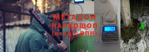 прущие крисы Болотное