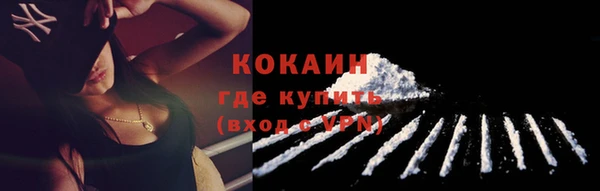 прущие крисы Болотное