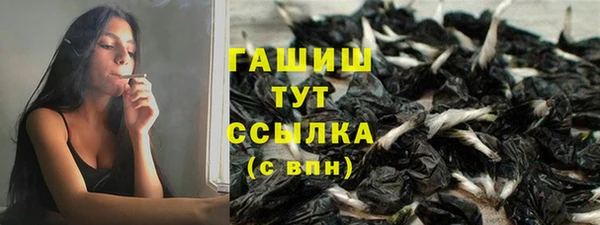 прущие крисы Болотное
