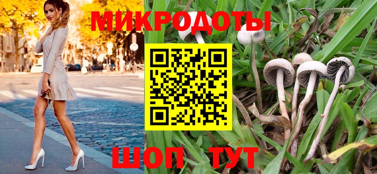 Псилоцибиновые грибы Cubensis  Вход с VPN  Качканар 