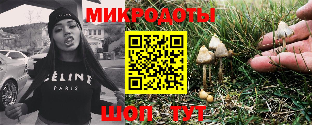 Галлюциногенные грибы Magic Shrooms Качканар