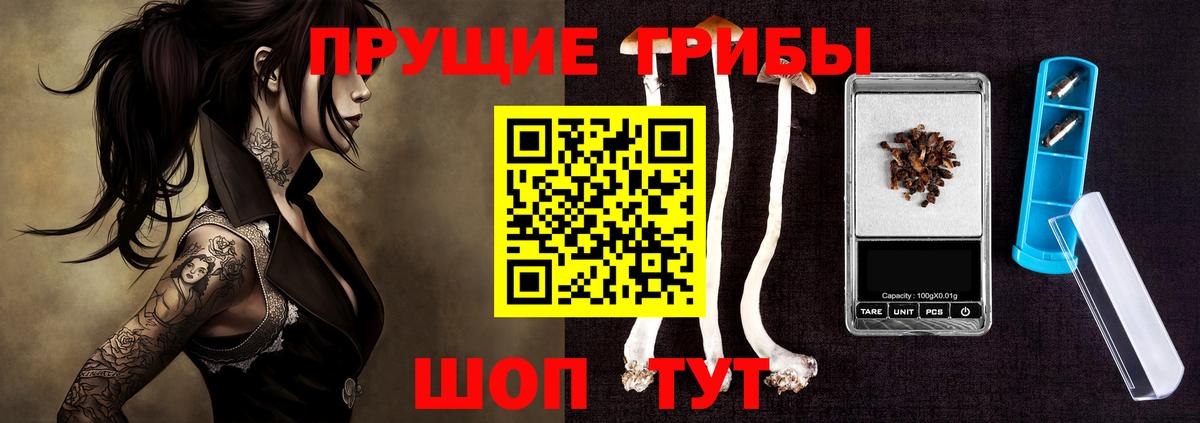 Псилоцибиновые грибы MAGIC MUSHROOMS  Качканар 